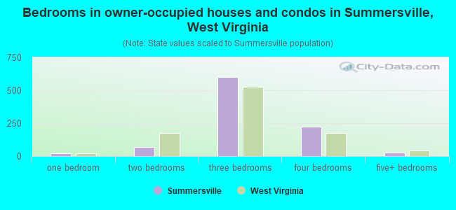 Bedrooms in owner-occupied houses and condos in Summersville, West Virginia