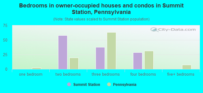 Bedrooms in owner-occupied houses and condos in Summit Station, Pennsylvania