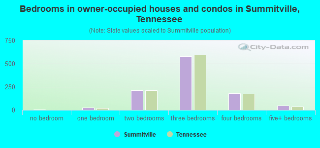 Bedrooms in owner-occupied houses and condos in Summitville, Tennessee