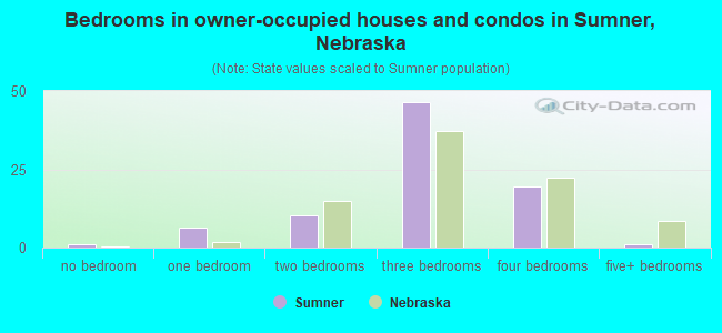 Bedrooms in owner-occupied houses and condos in Sumner, Nebraska