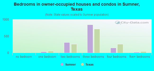 Bedrooms in owner-occupied houses and condos in Sumner, Texas