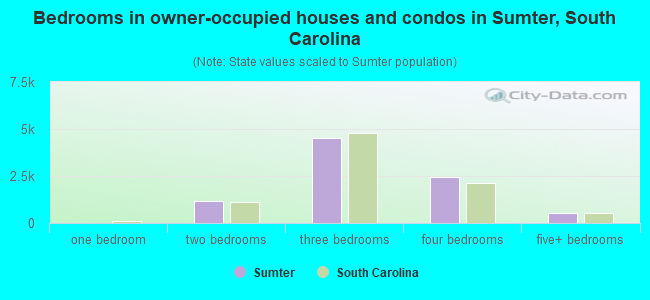 Bedrooms in owner-occupied houses and condos in Sumter, South Carolina