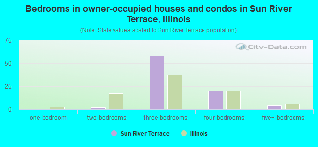 Bedrooms in owner-occupied houses and condos in Sun River Terrace, Illinois