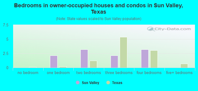 Bedrooms in owner-occupied houses and condos in Sun Valley, Texas