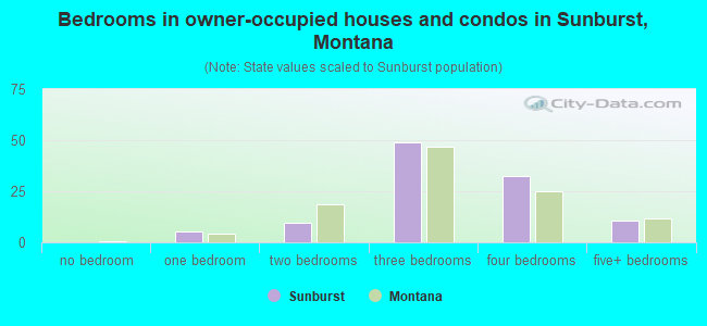 Bedrooms in owner-occupied houses and condos in Sunburst, Montana