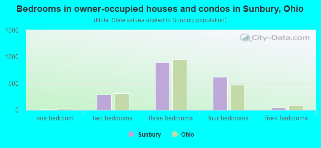 Bedrooms in owner-occupied houses and condos in Sunbury, Ohio