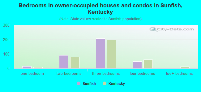 Bedrooms in owner-occupied houses and condos in Sunfish, Kentucky