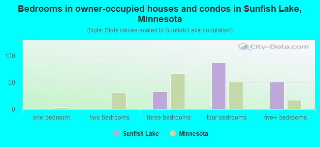 Bedrooms in owner-occupied houses and condos in Sunfish Lake, Minnesota
