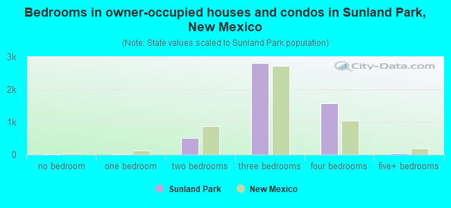 Bedrooms in owner-occupied houses and condos in Sunland Park, New Mexico