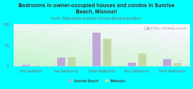 Bedrooms in owner-occupied houses and condos in Sunrise Beach, Missouri