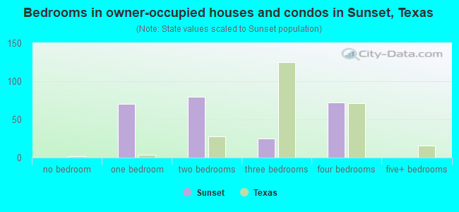 Bedrooms in owner-occupied houses and condos in Sunset, Texas