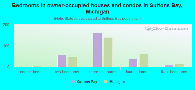 Bedrooms in owner-occupied houses and condos in Suttons Bay, Michigan