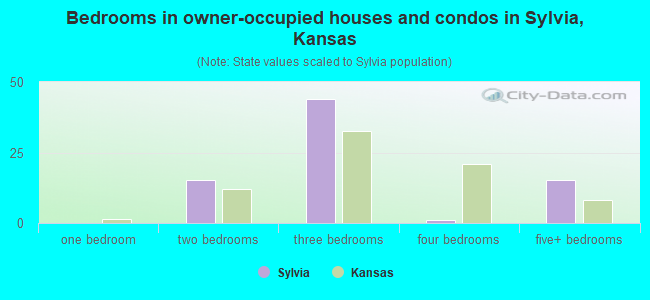 Bedrooms in owner-occupied houses and condos in Sylvia, Kansas