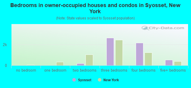 Bedrooms in owner-occupied houses and condos in Syosset, New York