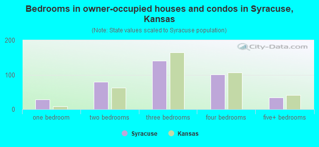 Bedrooms in owner-occupied houses and condos in Syracuse, Kansas