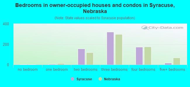 Bedrooms in owner-occupied houses and condos in Syracuse, Nebraska