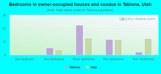 Bedrooms in owner-occupied houses and condos in Tabiona, Utah