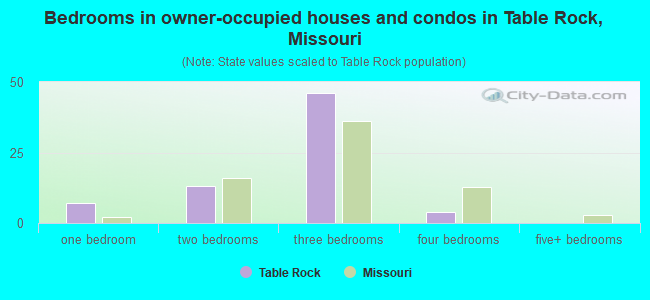 Bedrooms in owner-occupied houses and condos in Table Rock, Missouri