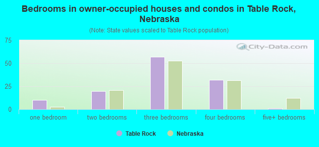 Bedrooms in owner-occupied houses and condos in Table Rock, Nebraska