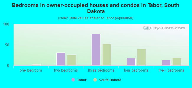 Bedrooms in owner-occupied houses and condos in Tabor, South Dakota
