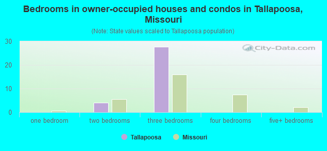 Bedrooms in owner-occupied houses and condos in Tallapoosa, Missouri