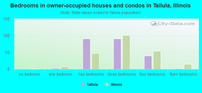 Bedrooms in owner-occupied houses and condos in Tallula, Illinois