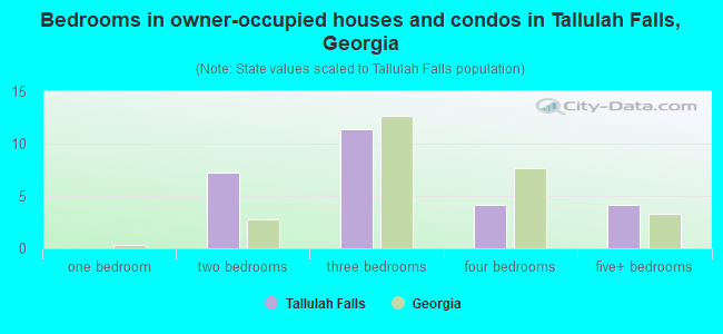 Bedrooms in owner-occupied houses and condos in Tallulah Falls, Georgia