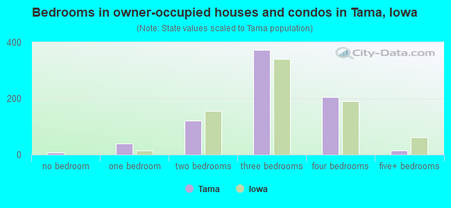 Bedrooms in owner-occupied houses and condos in Tama, Iowa