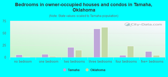Bedrooms in owner-occupied houses and condos in Tamaha, Oklahoma