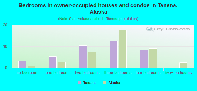 Bedrooms in owner-occupied houses and condos in Tanana, Alaska