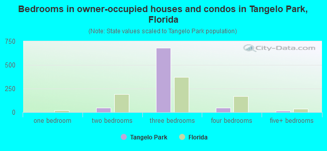 Bedrooms in owner-occupied houses and condos in Tangelo Park, Florida