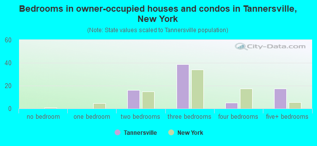Bedrooms in owner-occupied houses and condos in Tannersville, New York