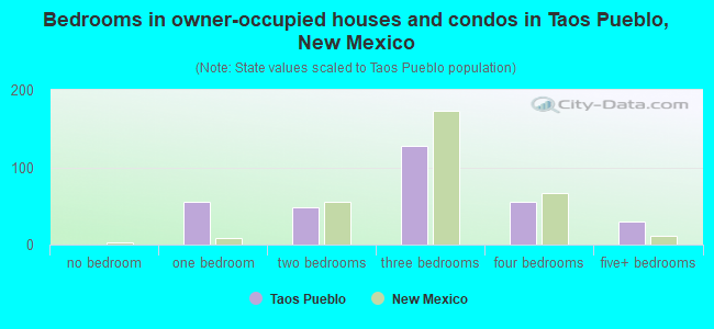 Bedrooms in owner-occupied houses and condos in Taos Pueblo, New Mexico