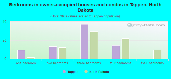 Bedrooms in owner-occupied houses and condos in Tappen, North Dakota