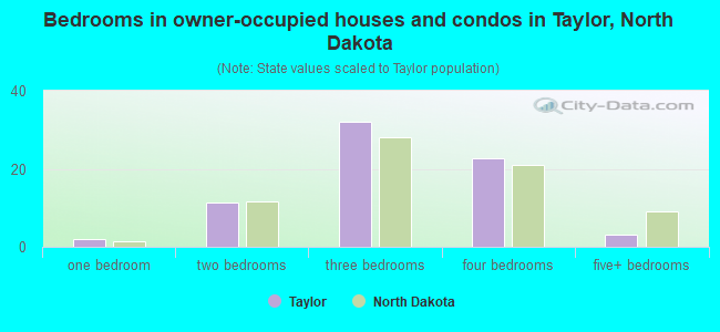 Bedrooms in owner-occupied houses and condos in Taylor, North Dakota