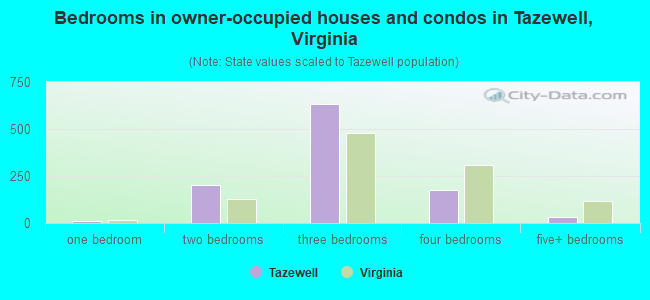 Bedrooms in owner-occupied houses and condos in Tazewell, Virginia