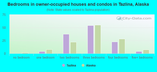 Bedrooms in owner-occupied houses and condos in Tazlina, Alaska