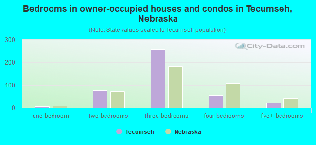 Bedrooms in owner-occupied houses and condos in Tecumseh, Nebraska