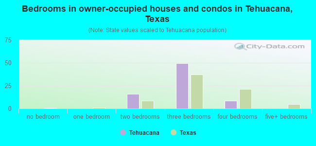 Bedrooms in owner-occupied houses and condos in Tehuacana, Texas