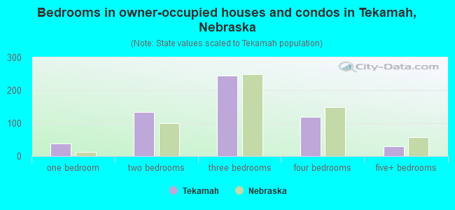 Bedrooms in owner-occupied houses and condos in Tekamah, Nebraska