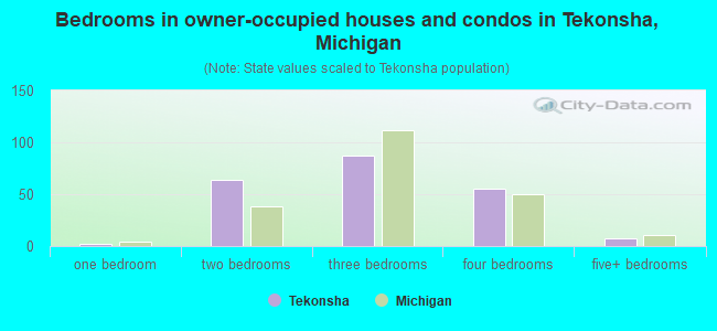 Bedrooms in owner-occupied houses and condos in Tekonsha, Michigan