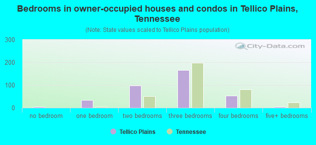 Bedrooms in owner-occupied houses and condos in Tellico Plains, Tennessee