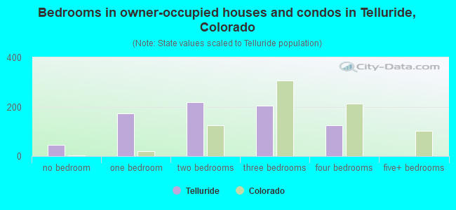 Bedrooms in owner-occupied houses and condos in Telluride, Colorado