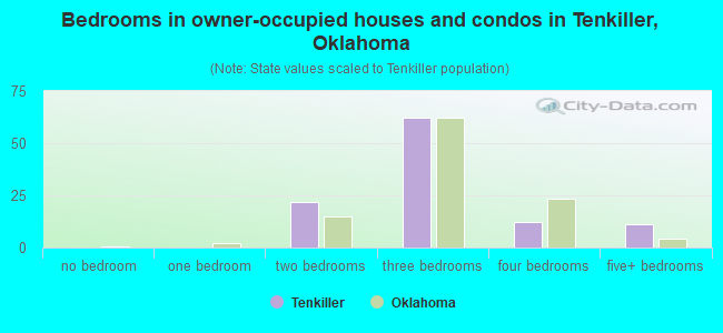 Bedrooms in owner-occupied houses and condos in Tenkiller, Oklahoma