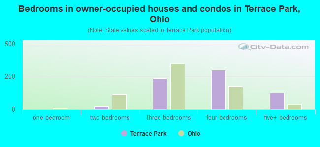 Bedrooms in owner-occupied houses and condos in Terrace Park, Ohio