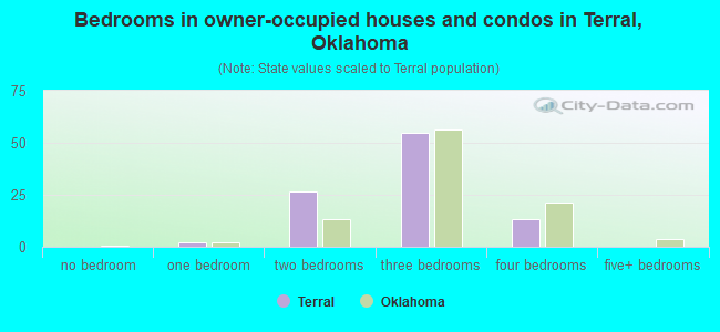 Bedrooms in owner-occupied houses and condos in Terral, Oklahoma