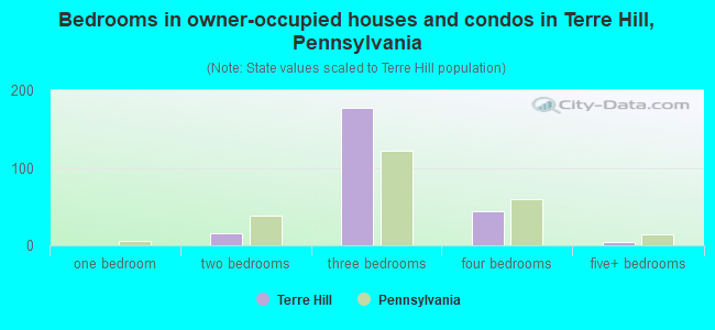 Bedrooms in owner-occupied houses and condos in Terre Hill, Pennsylvania