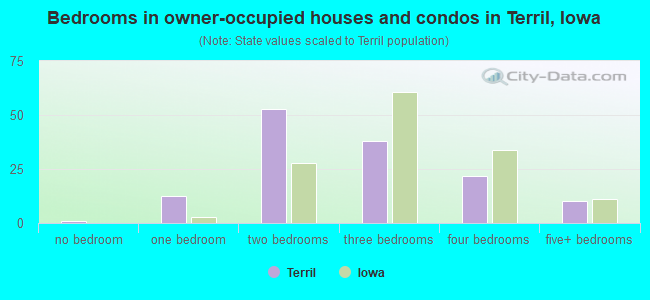 Bedrooms in owner-occupied houses and condos in Terril, Iowa