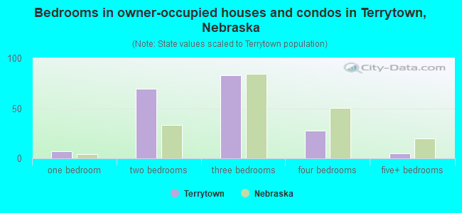 Bedrooms in owner-occupied houses and condos in Terrytown, Nebraska