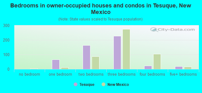 Bedrooms in owner-occupied houses and condos in Tesuque, New Mexico